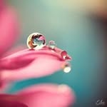 marc stone - @sherrieunterburger - Instagram