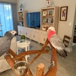 Marc Stone - @mstone2662 - Instagram