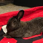 Marc Strong - @senihele13 - Instagram