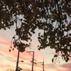 MarcyEN9sue - @marcyen9sue - TikTok