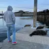 Marc Sutton - @msuttcfpimv - TikTok