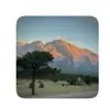 Marc Sutton - @marc.sutton8 - TikTok