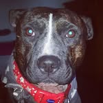 Marc Sutton - @suttonmoon - Instagram