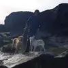 marcsutton44 - @marcsutton44 - TikTok