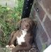 Marc Sylvester - Facebook