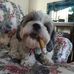 Marc Tesler - Facebook