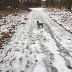 Marc thibodeau - @thibodeau1953 - Instagram