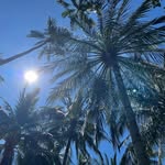 Marc Thielmanns - @marcthielmanns - Instagram