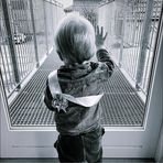 Marc Toft - Facebook