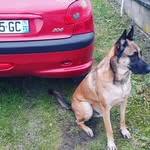 tom mcn - @marctom37 - Instagram