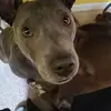 Marc Topel - @marc.topel - TikTok