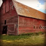 Marc and Kristen Trudel - @glenviewfarm - Instagram