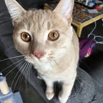 Marc Trudel - @trudel_marc - Instagram