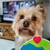 Jean Marc Turpin - @jean.marc.turpin - TikTok