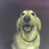 marcvecchio349 - @marcvecchio349 - TikTok