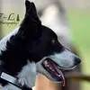 Marcel Vermette - @marcel.vermette - TikTok