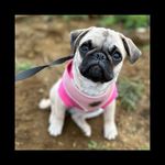 Marc Kilner Vickers - @mdkilner - Instagram