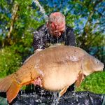 Marc Vickers - @marc.vickers.3 - Instagram
