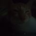 Marc Vinson - Facebook