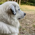 Marc-Wayne Addison - @marc_wayne.add19 - Instagram