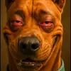 Marc Wayne Hayez - @marc_wayne_78 - TikTok