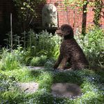 Marc Weaver - @weaver_marc - Instagram