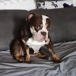 Marc Weller - @devilbrothermarc - Instagram