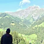 marc wenger - @mc_lion_71 - Instagram