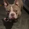 Marc Whitehead - @marc.whitehead7 - TikTok
