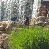 marcwhitehead838 - @marcwhitehead838 - TikTok
