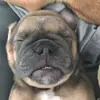 marcwhitmore816 - @marcwhitmore816 - TikTok