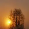 Marc Winand - @marc.winand - TikTok