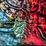 🌀➕Marc Richard Winer➕🌀 - @organicdestruction - Instagram