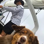 Marc Wizac - @marcwizac - Instagram