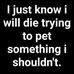 Marc Wolfe - Facebook