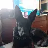Marc Wren - @marc.wren - TikTok