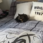 Marc Wright - @marc_wright_19 - Instagram