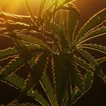 Marc Zander - @marczander4 - Instagram