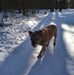 Marc Zoon - Facebook
