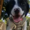 Marce Knight - @cat.alaia09 - TikTok