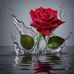 Marce Lopez - Facebook