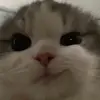 Marce_Lopez - @marcelpz9 - TikTok