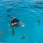 Marcel Adler - @marceladler9 - Instagram