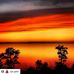 Marcel Allard - Facebook