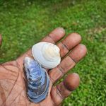 Marcel Allen - @alphonsoallen58 - Instagram