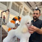 Marcel Anderson - @marcelgroomer - Instagram