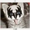 marcelangers - @marcelangers - TikTok