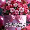 Marcela Aragón - @marcela_aragon - TikTok