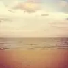 marcelarcher527 - @marcelarcher527 - TikTok