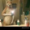 Marcel Arias - @marcel.arias1 - TikTok